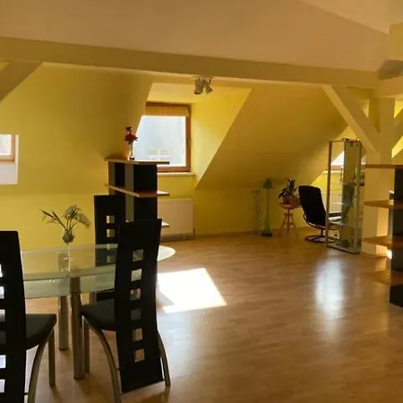 Old In Bratislava/big Loft/110m2/tv/internet Apartmán *