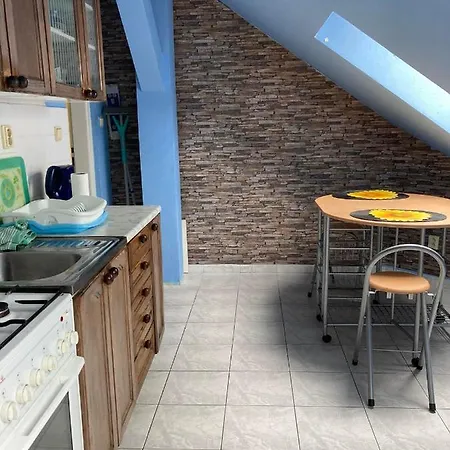Old In Bratislava/big Loft/110m2/tv/internet Apartmán *