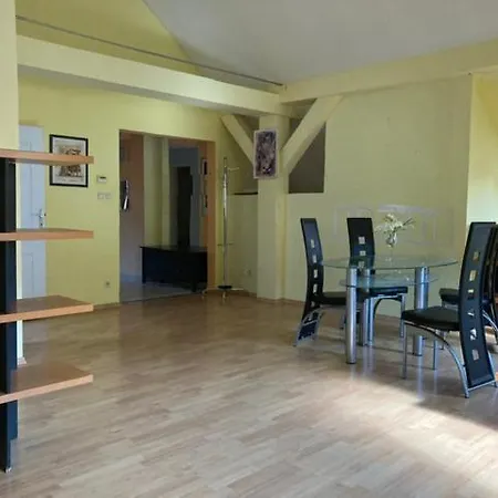 Old In Bratislava/big Loft/110m2/tv/internet Bratislava