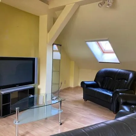 Lägenhet Old In Bratislava/big Loft/110m2/tv/internet