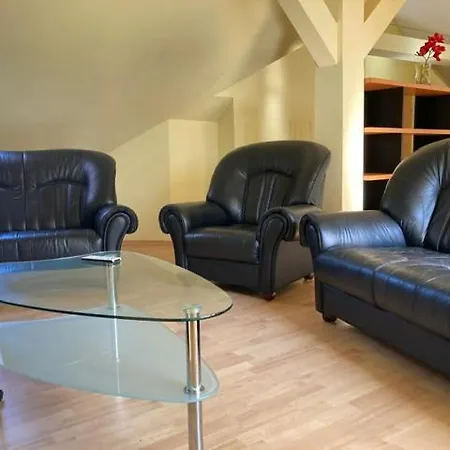 Lägenhet Old In Bratislava/big Loft/110m2/tv/internet
