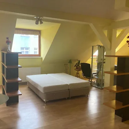 Lägenhet Old In Bratislava/big Loft/110m2/tv/internet Bratislava
