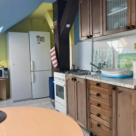 Old In Bratislava/big Loft/110m2/tv/internet * Bratislava
