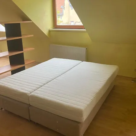 Old In Bratislava/big Loft/110m2/tv/internet Bratislava